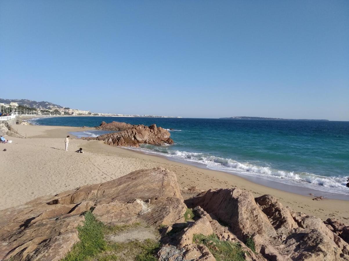 Sainte Rosalie Apartment Cannes Bagian luar foto